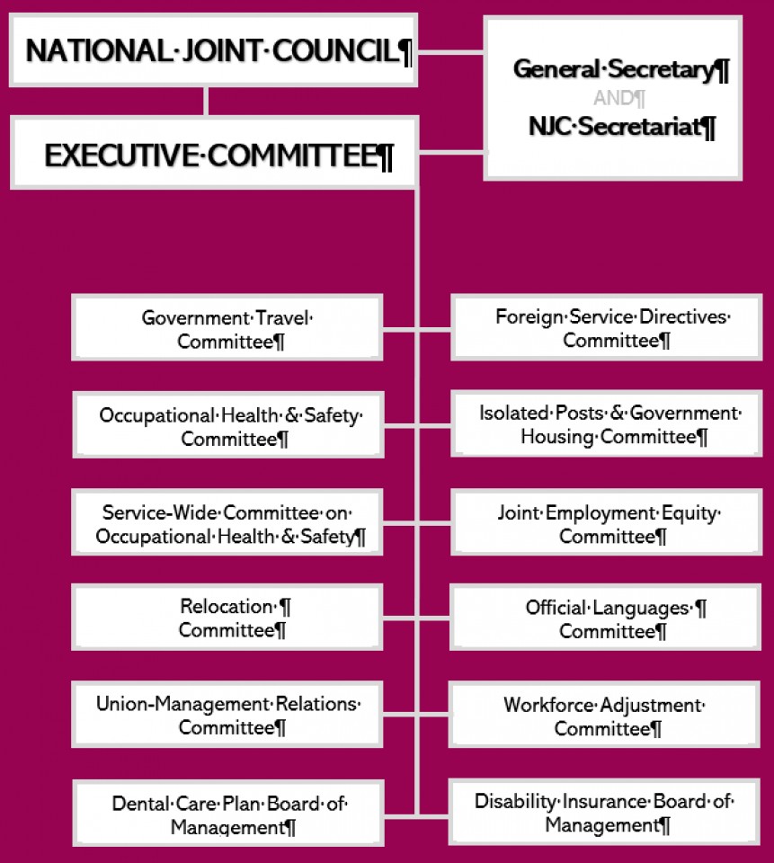 Organizational Structure of the NJC